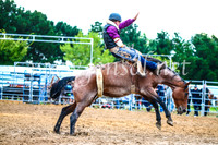 BraidwoodRodeo2017_2992
