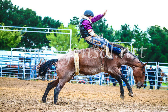 BraidwoodRodeo2017_2992