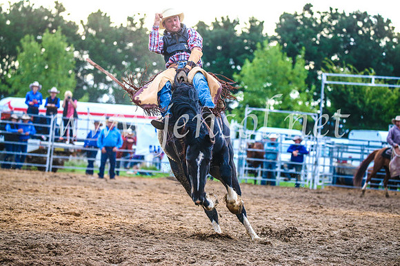 BraidwoodRodeo2017_3246
