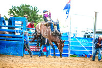 BraidwoodRodeo2017_2972