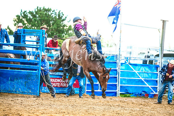 BraidwoodRodeo2017_2972