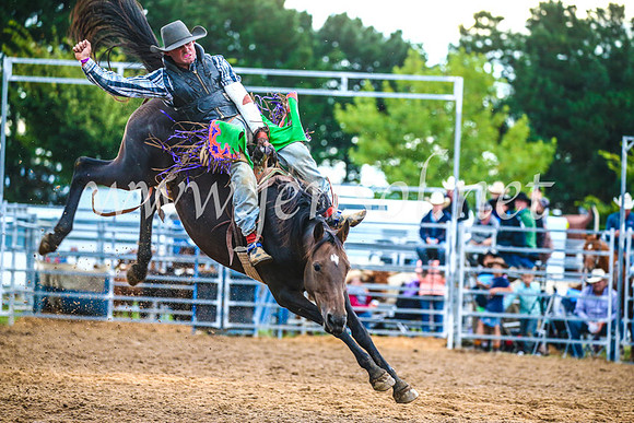 BraidwoodRodeo2017_3104