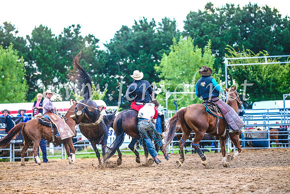 BraidwoodRodeo2017_3085