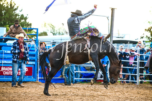 BraidwoodRodeo2017_3097