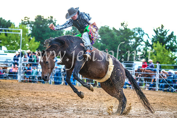 BraidwoodRodeo2017_3132