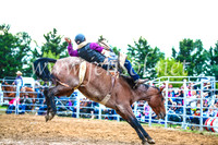 BraidwoodRodeo2017_2989