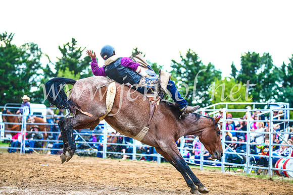 BraidwoodRodeo2017_2989