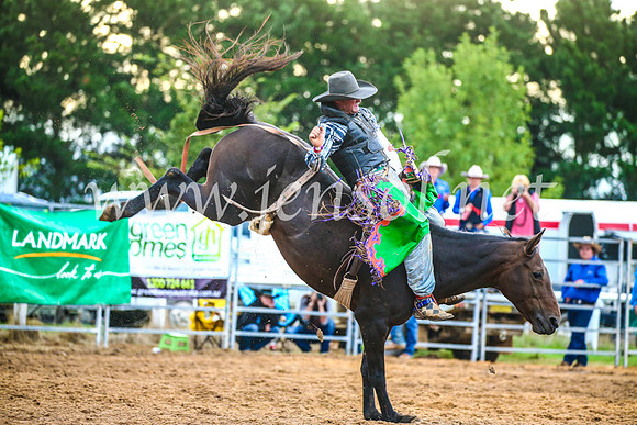 BraidwoodRodeo2017_3096