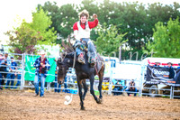 BraidwoodRodeo2017_3052