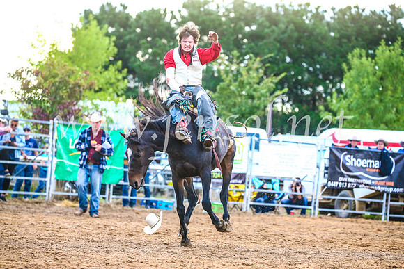 BraidwoodRodeo2017_3052