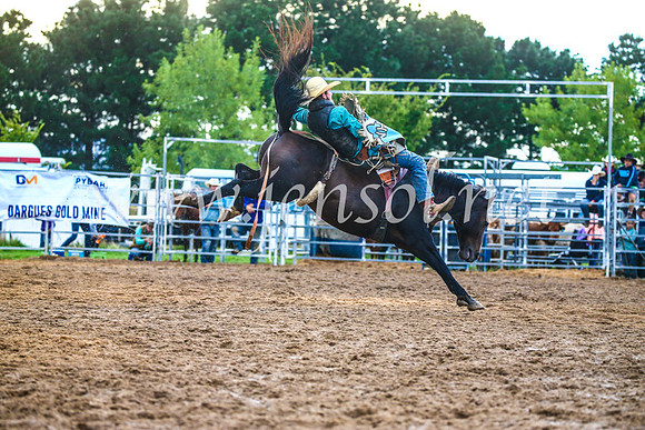 BraidwoodRodeo2017_3223
