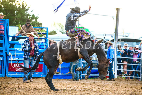 BraidwoodRodeo2017_3086