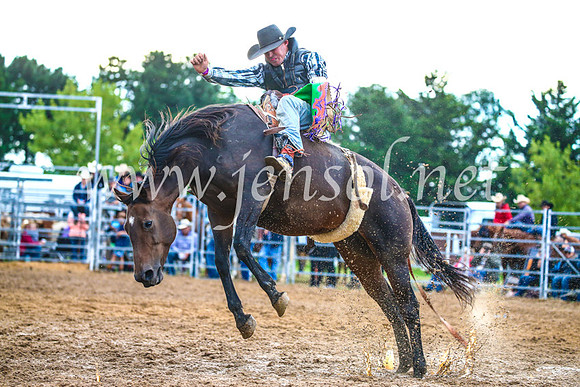 BraidwoodRodeo2017_3127