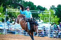 BraidwoodRodeo2017_3009
