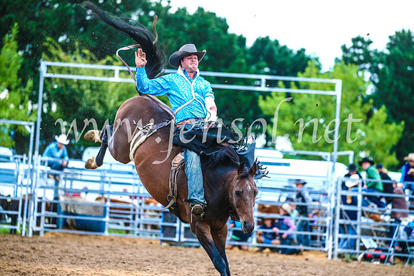 BraidwoodRodeo2017_3009