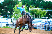 BraidwoodRodeo2017_3005