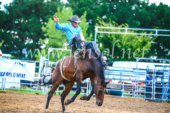BraidwoodRodeo2017_3005