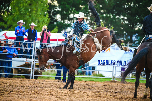 BraidwoodRodeo2017_3176