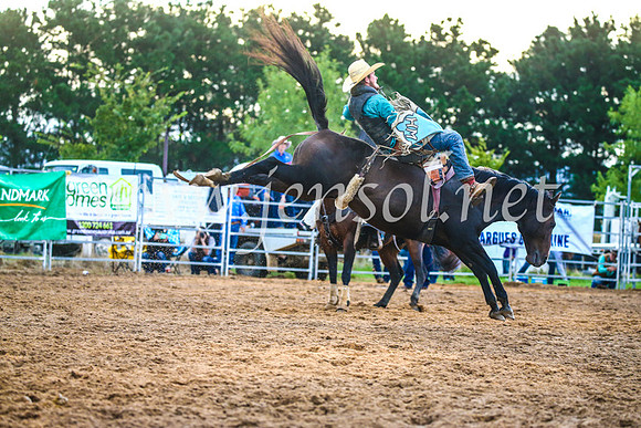 BraidwoodRodeo2017_3234