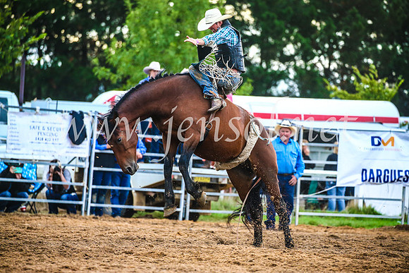 BraidwoodRodeo2017_3171