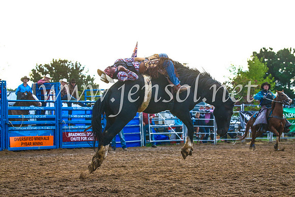 BraidwoodRodeo2017_3263