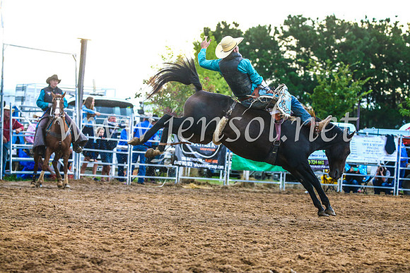 BraidwoodRodeo2017_3215