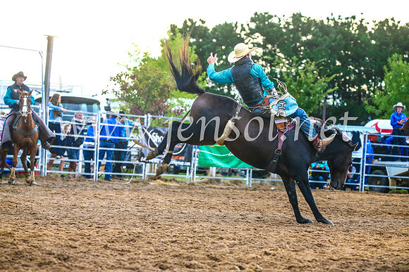 BraidwoodRodeo2017_3211