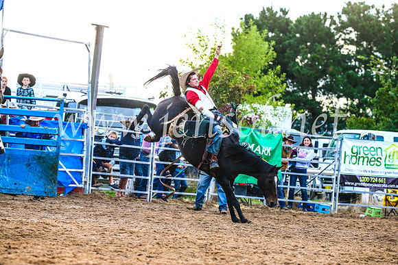 BraidwoodRodeo2017_3037