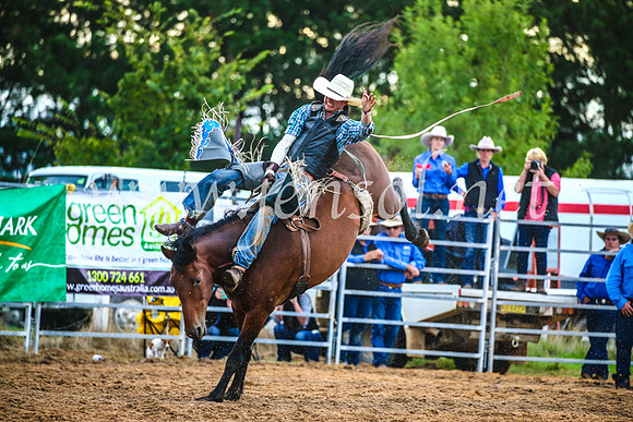 BraidwoodRodeo2017_3187