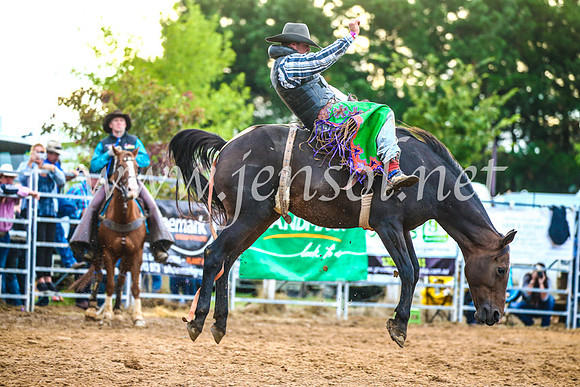 BraidwoodRodeo2017_3091
