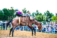 BraidwoodRodeo2017_2985