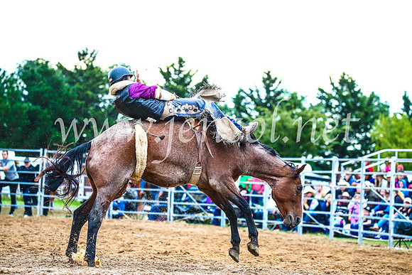 BraidwoodRodeo2017_2985