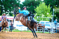 BraidwoodRodeo2017_3018