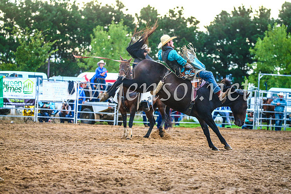 BraidwoodRodeo2017_3236