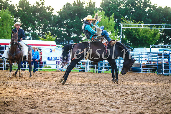 BraidwoodRodeo2017_3231