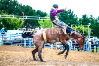BraidwoodRodeo2017_2997