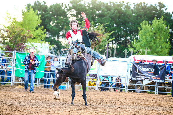 BraidwoodRodeo2017_3058