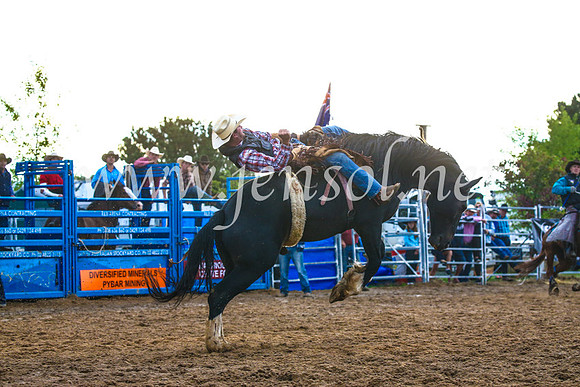 BraidwoodRodeo2017_3267