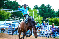 BraidwoodRodeo2017_3030
