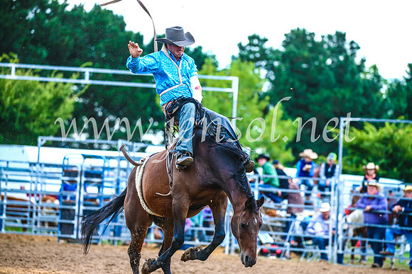 BraidwoodRodeo2017_3030