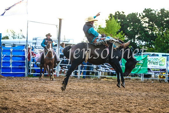 BraidwoodRodeo2017_3209