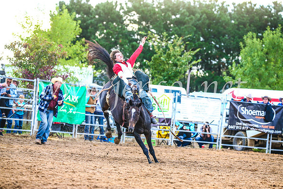 BraidwoodRodeo2017_3039