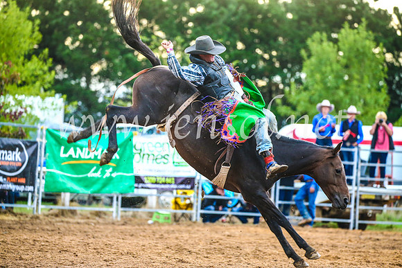 BraidwoodRodeo2017_3092