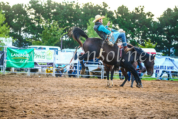 BraidwoodRodeo2017_3235