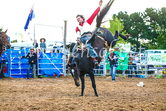BraidwoodRodeo2017_3078