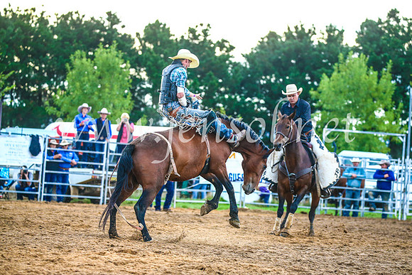 BraidwoodRodeo2017_3148