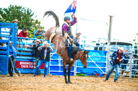 BraidwoodRodeo2017_2971