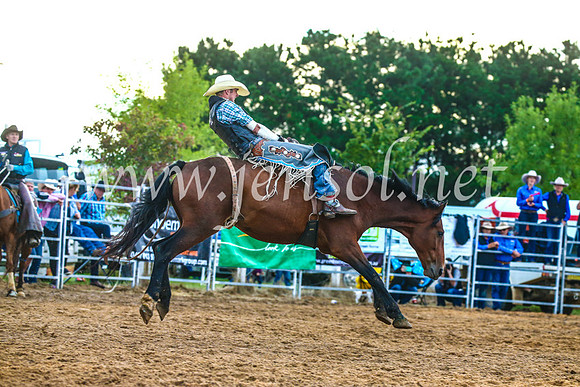 BraidwoodRodeo2017_3149
