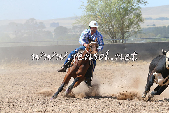 BraidwoodCampdraft2014_0696
