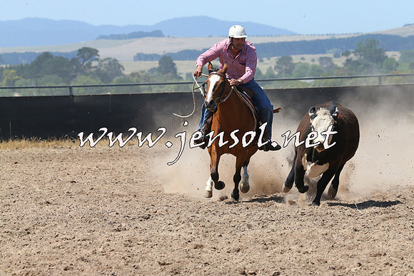 BraidwoodCampdraft2014_0706